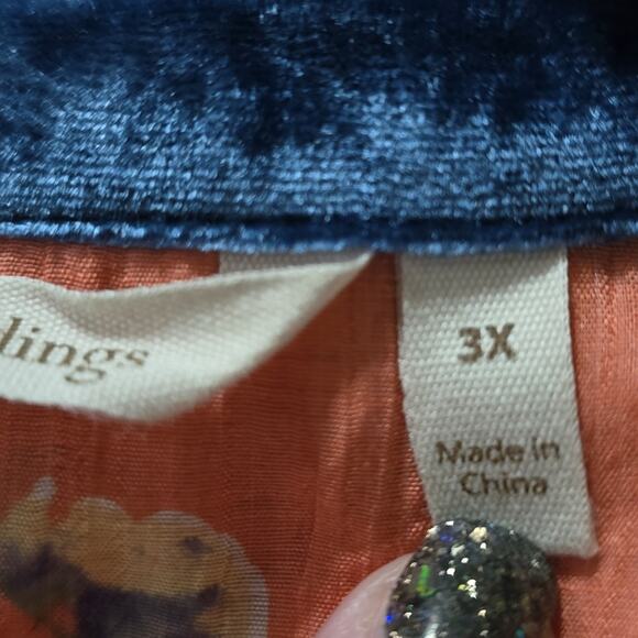 Soft Surroundings Embroidered Slightly Sheer Long Sleeve Shirt & Camisole - Picture 15 of 16